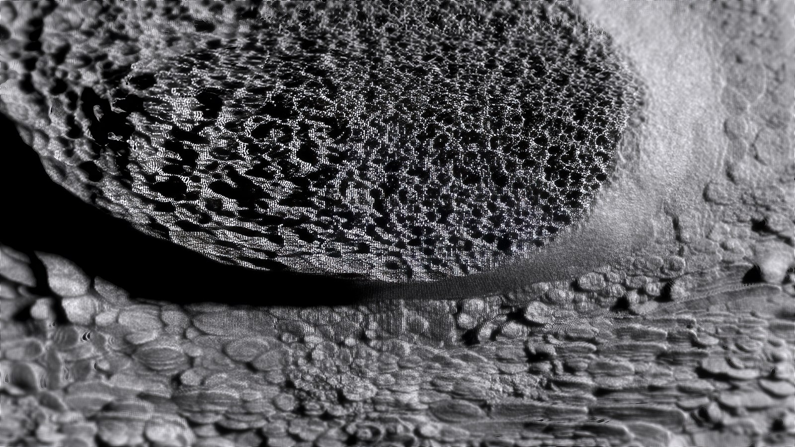 Elektrisher Hund — generative visual