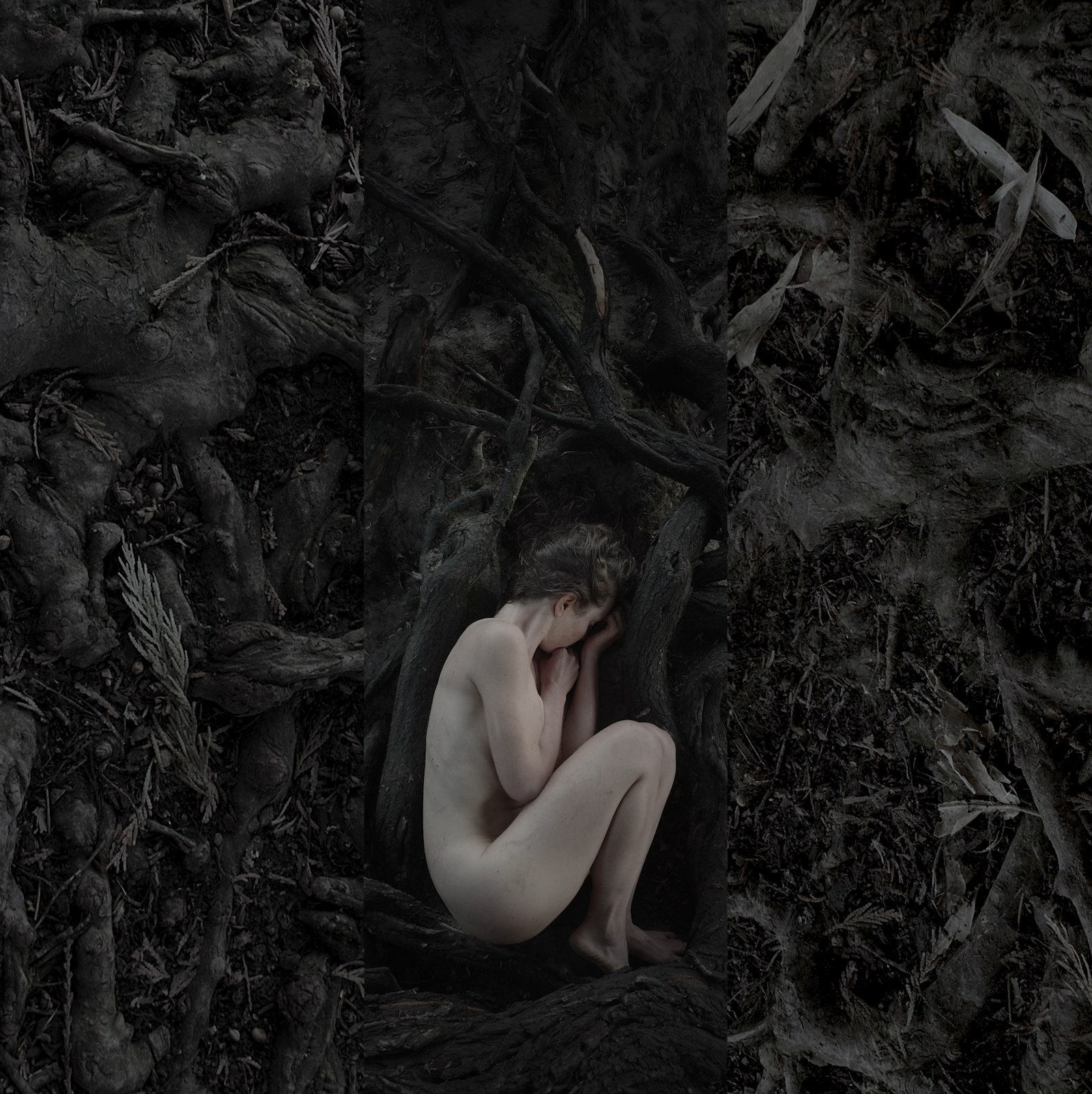 The Vegetarian — 1