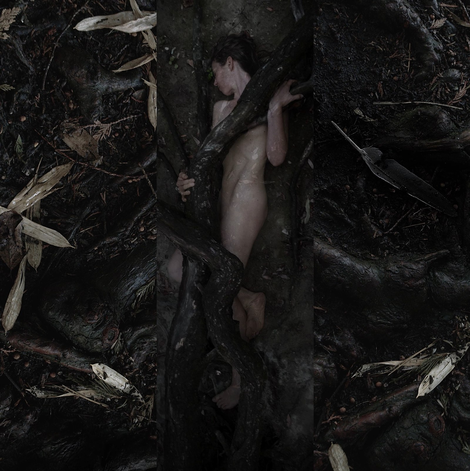 The Vegetarian — 3