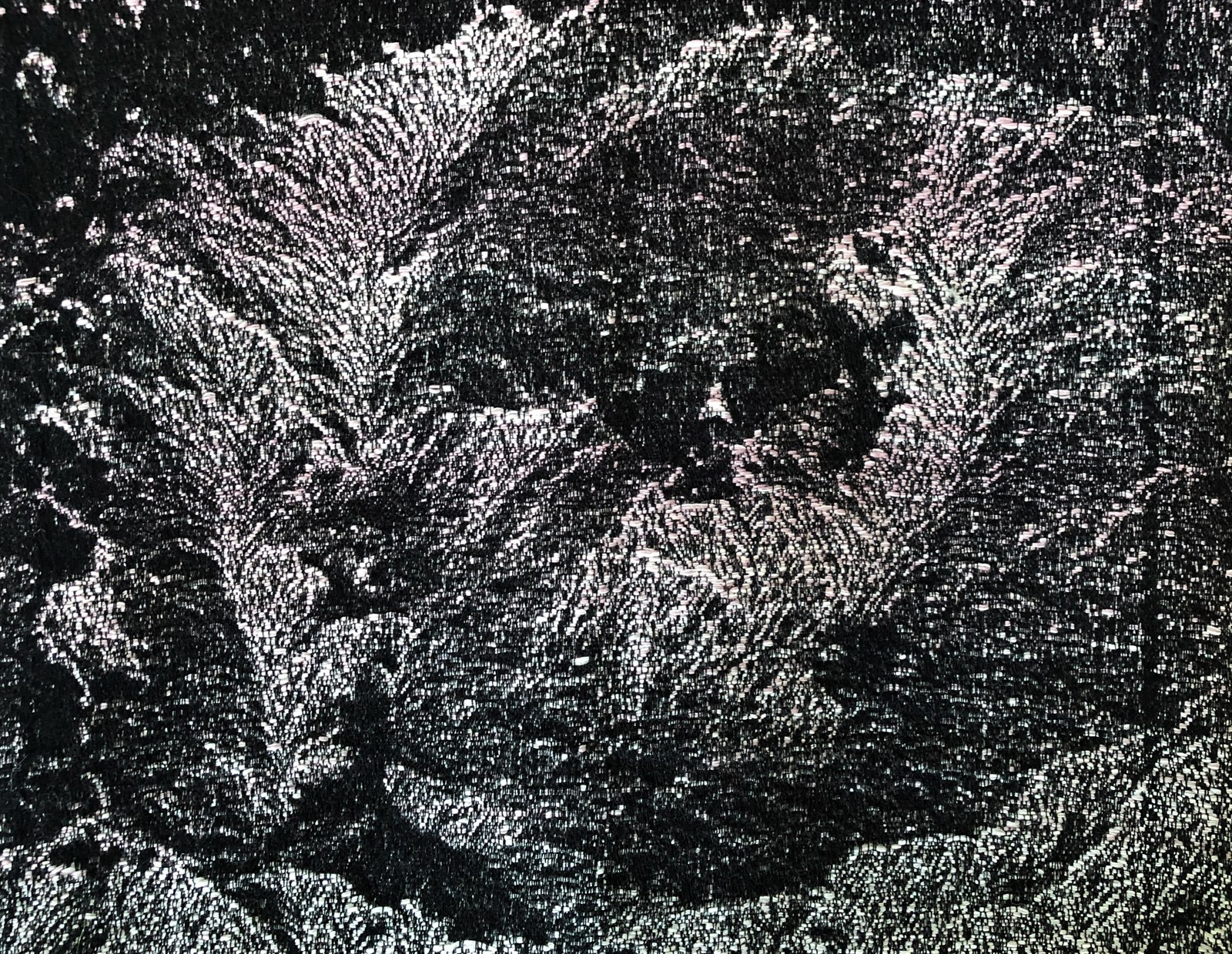 Weaving Life — detail 2